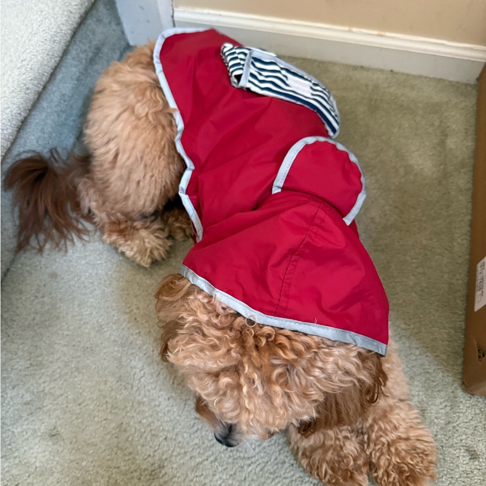 Red Dog coat with hood